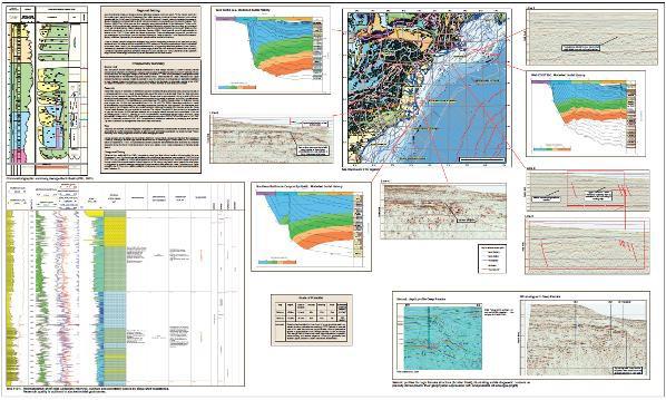 Well and seismic montage