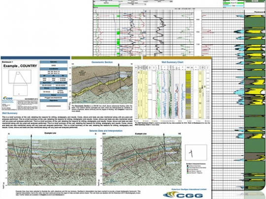 TerraCube well and seismic montage